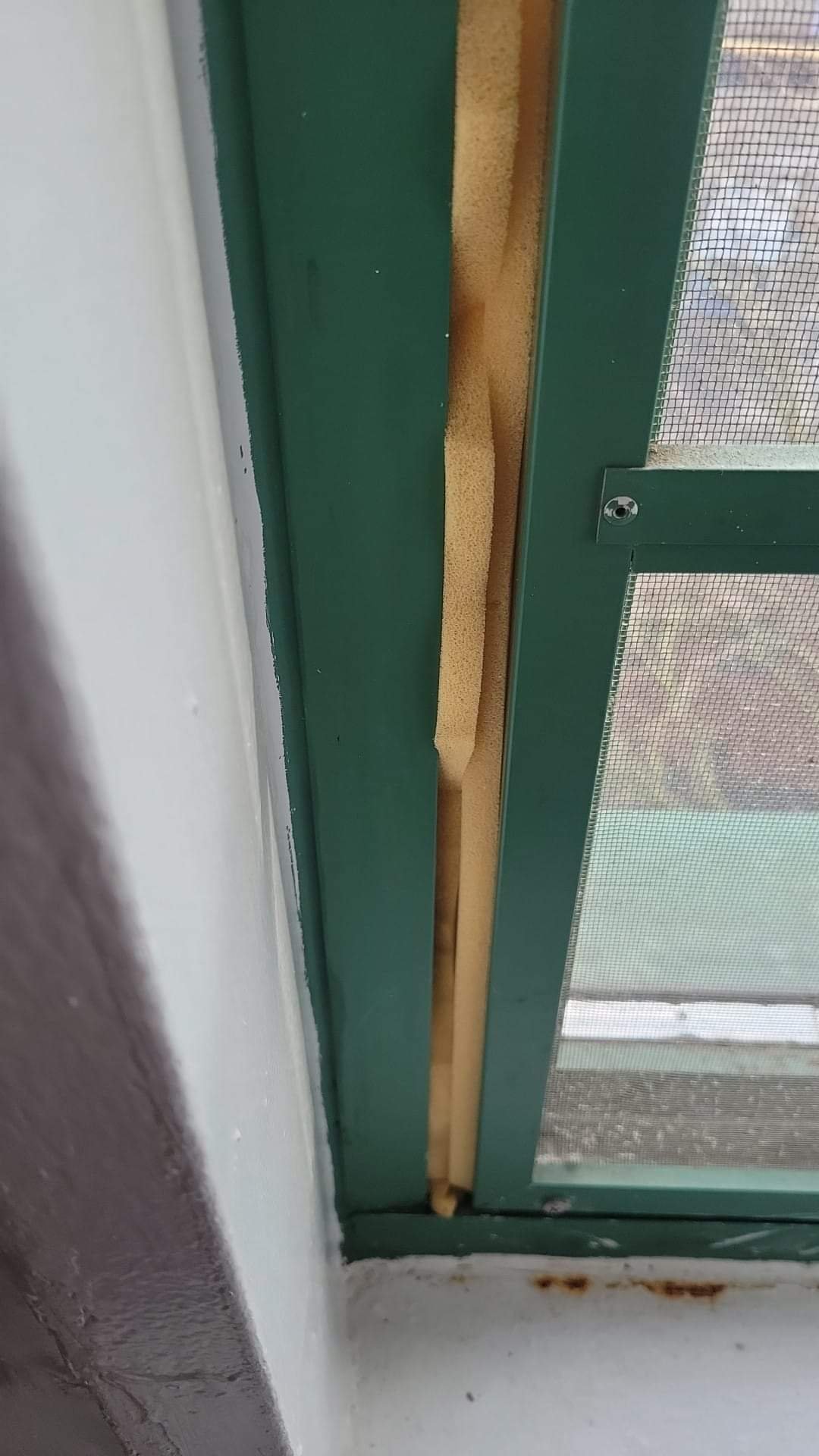 Parkchester resident endures freezing conditions amidst maintenance