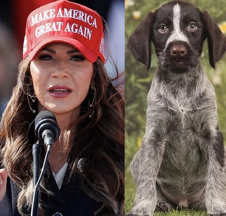 Outrage erupts as Gov Noem faces backlash over revelation of dog’s